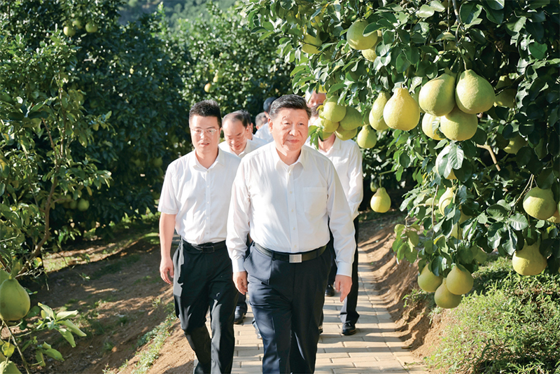 ag�ٷ�����ƽ̨(����)��ҳ